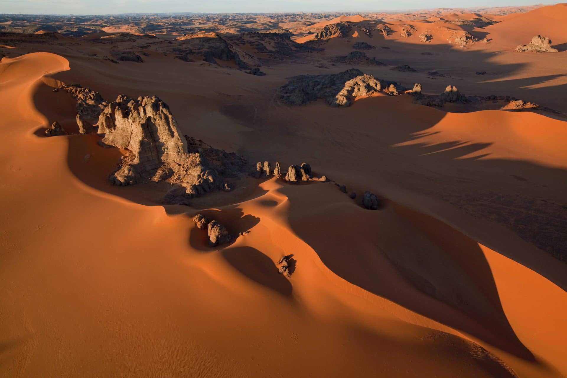 What Is The Importance Of Oasis In A Desert? - WorldAtlas